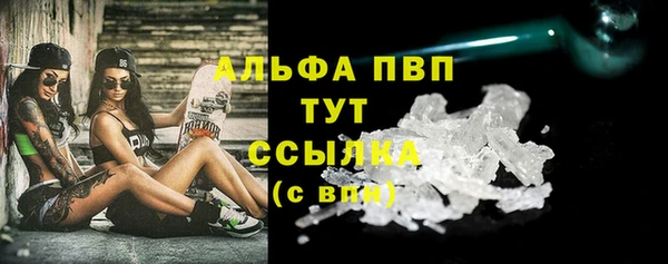 стафф Аркадак
