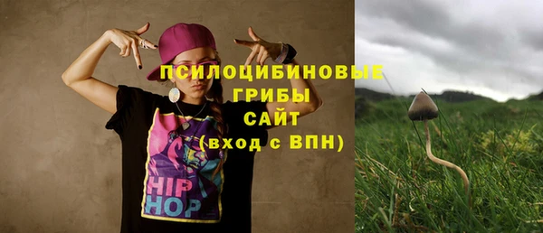 винт Армянск
