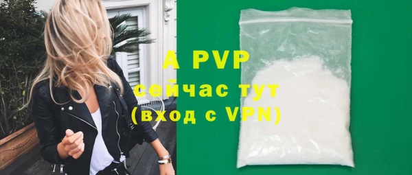 гашик Арсеньев