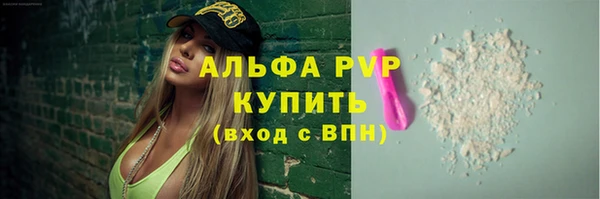 гашик Арсеньев