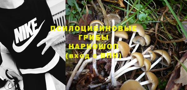 гашик Арсеньев