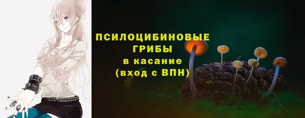 гашик Арсеньев