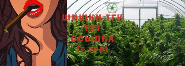 винт Армянск